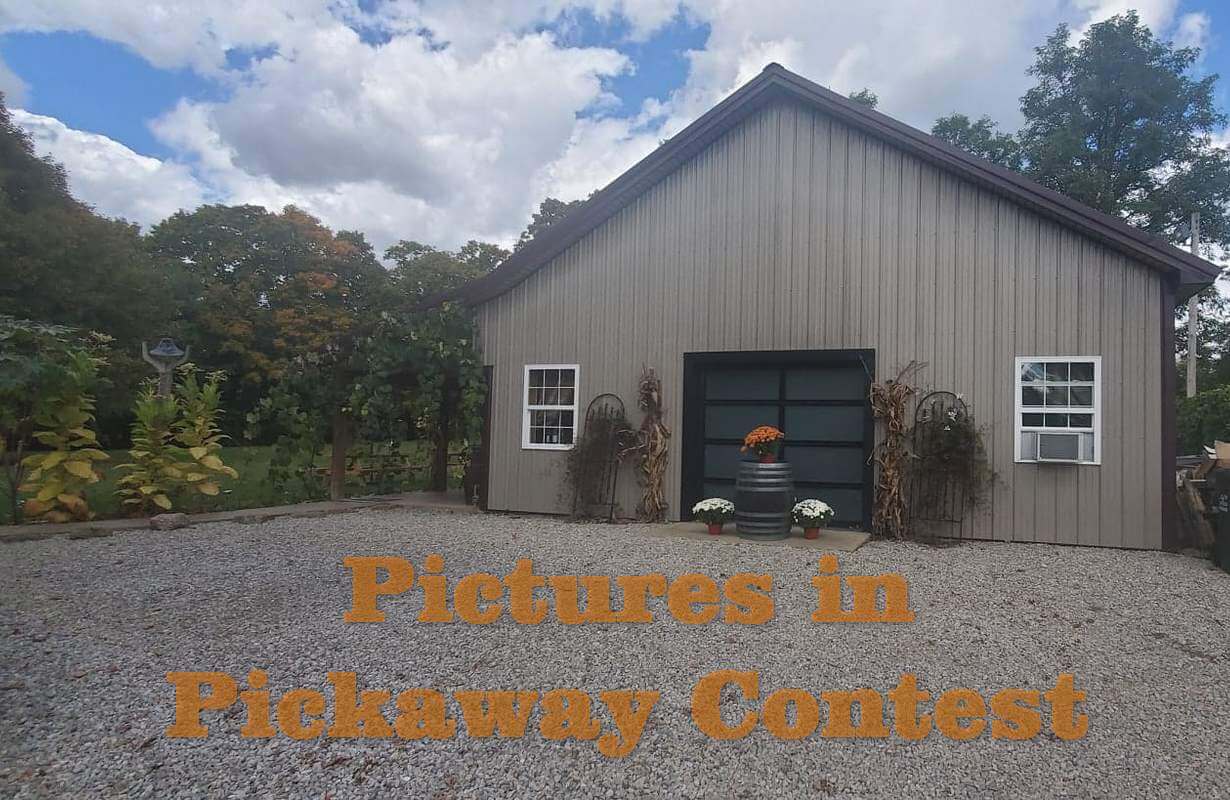 Pictures in Pickaway Contest