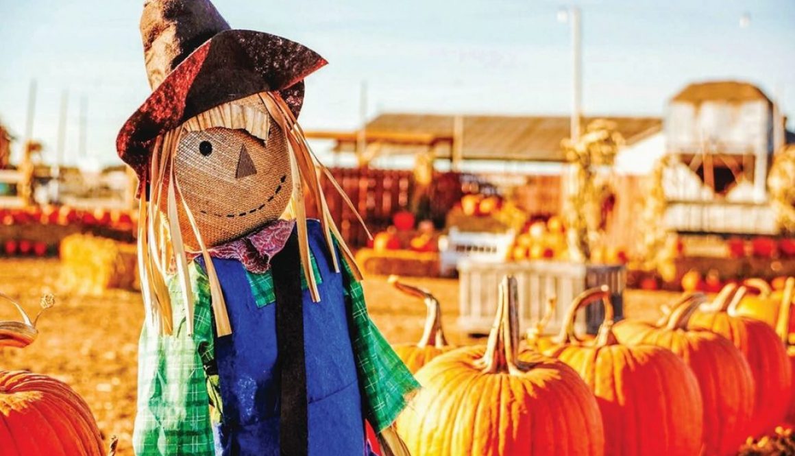 8 sights to see at fall harvest festivals