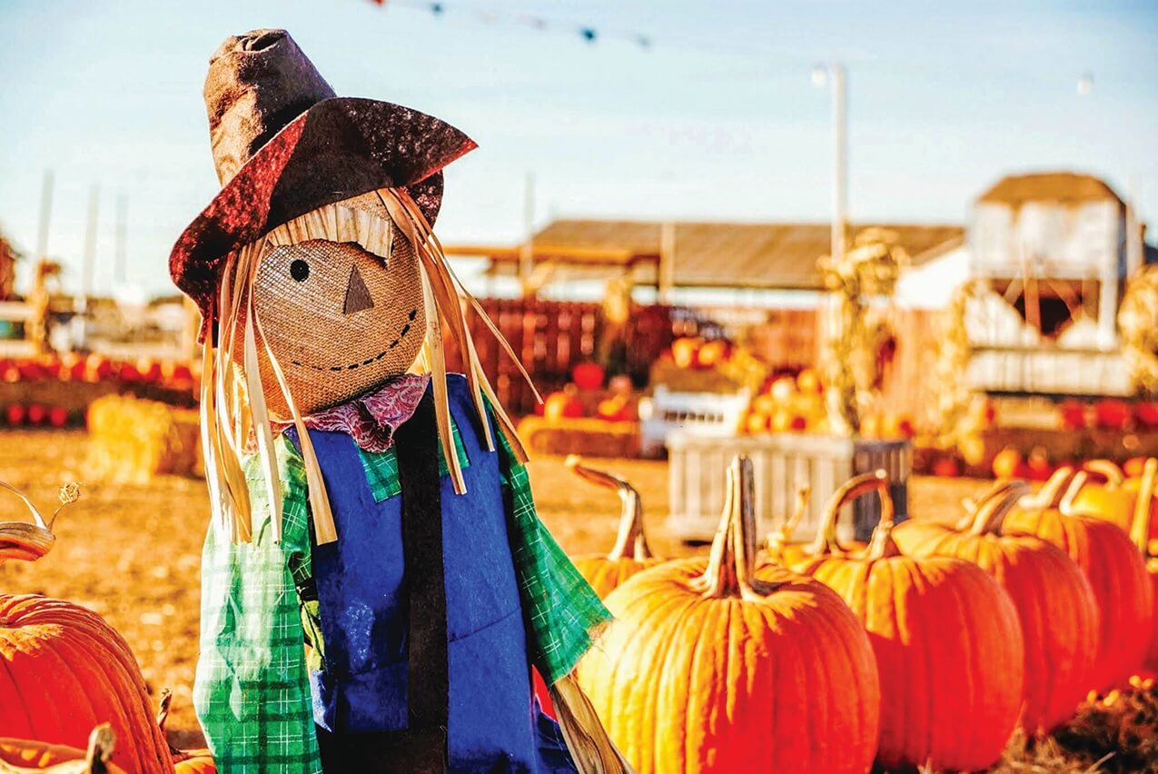 8 sights to see at fall harvest festivals