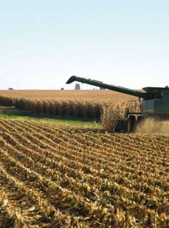Crop yields remain volatile