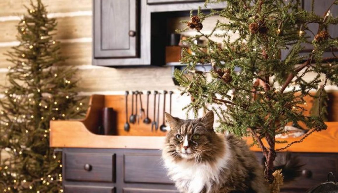 How to pet proof your home when decking the halls