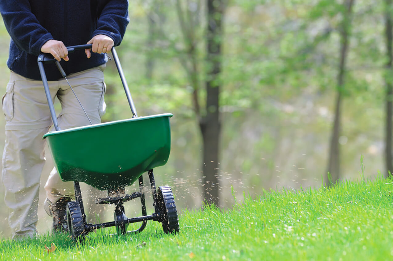 The basics of fertilizing a lawn