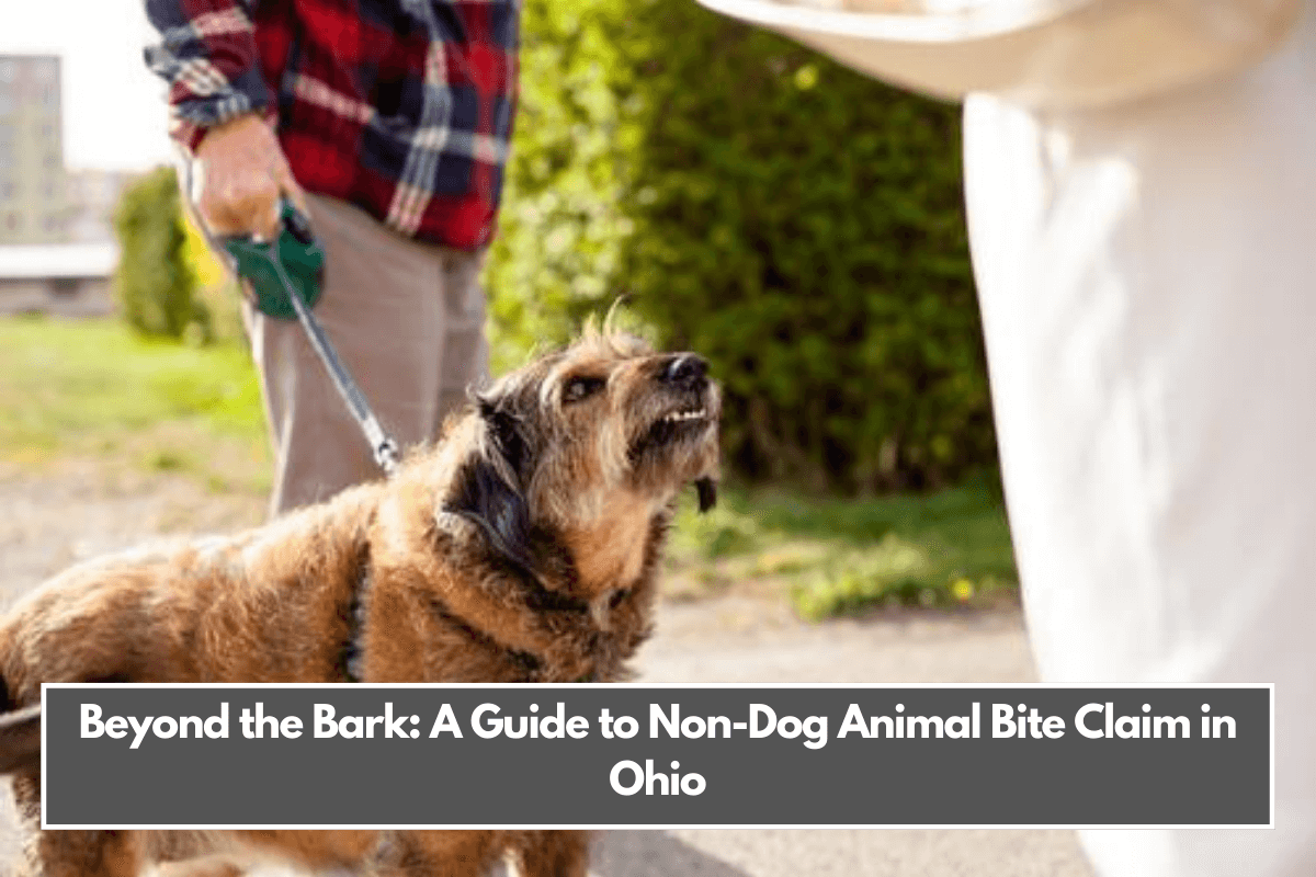 Beyond the Bark A Guide to Non-Dog Animal Bite Claim in Ohio