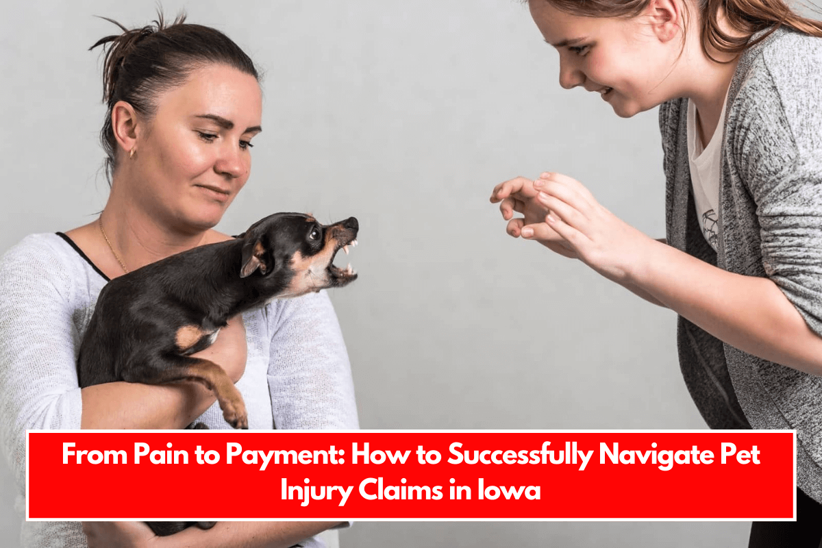 From Pain to Payment How to Successfully Navigate Pet Injury Claims in Iowa