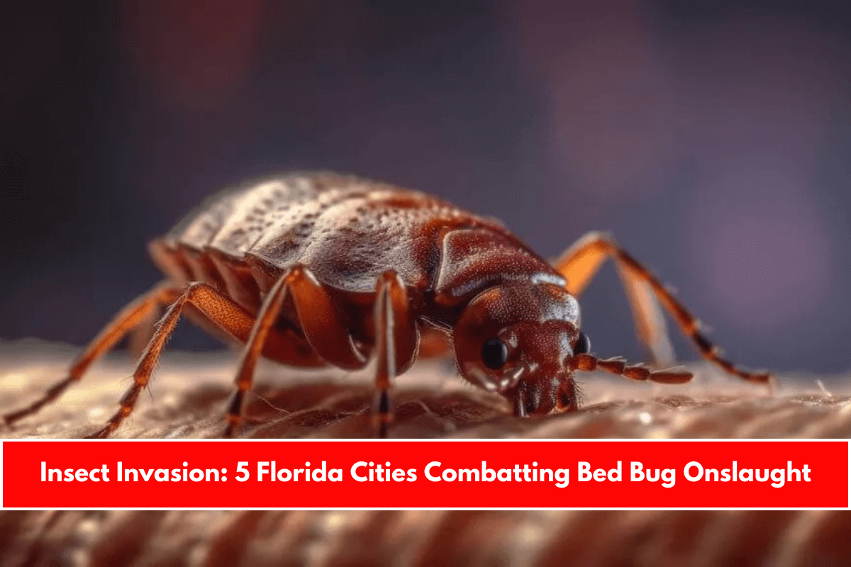 Insect Invasion: 5 Florida Cities Combatting Bed Bug Onslaught