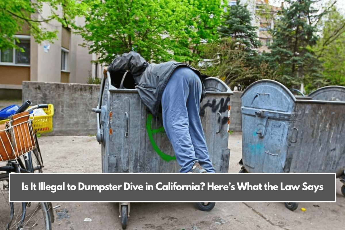 Is It Illegal to Dumpster Dive in California Here’s What the Law Says