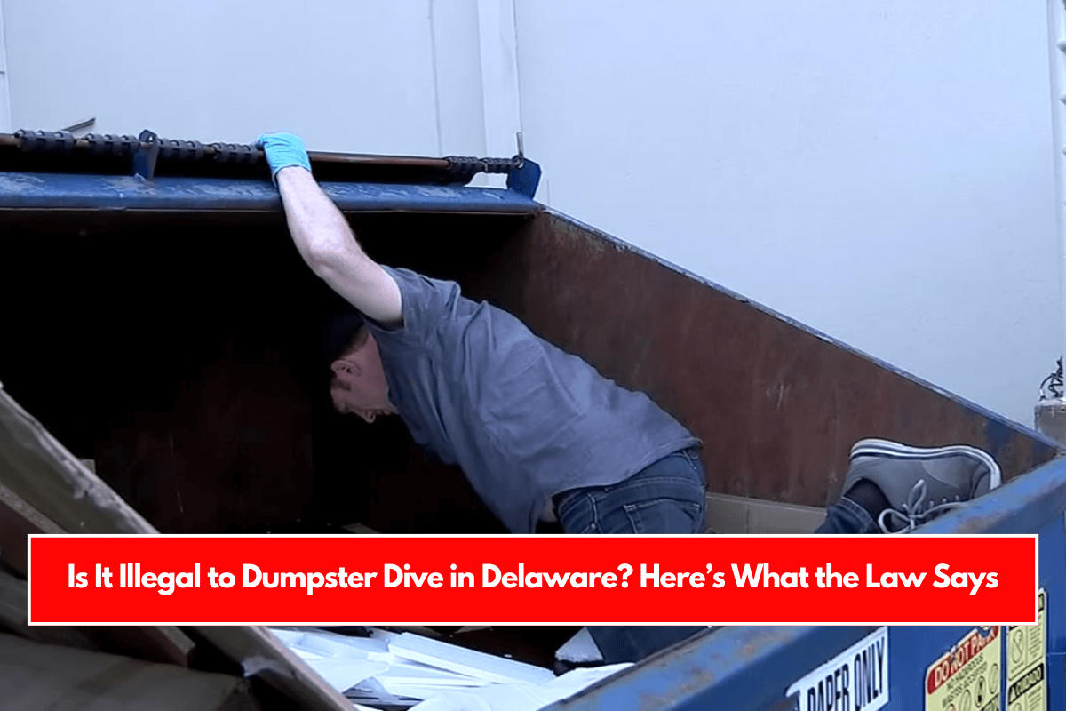 Is It Illegal to Dumpster Dive in Delaware Here’s What the Law Says