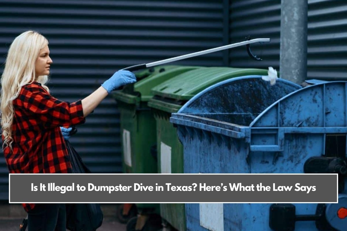 Is It Illegal to Dumpster Dive in Texas Here’s What the Law Says