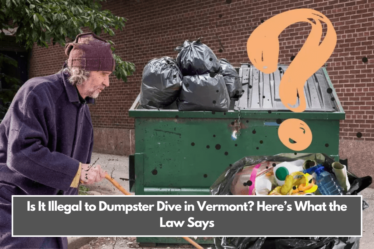 Is It Illegal to Dumpster Dive in Vermont Here’s What the Law Says