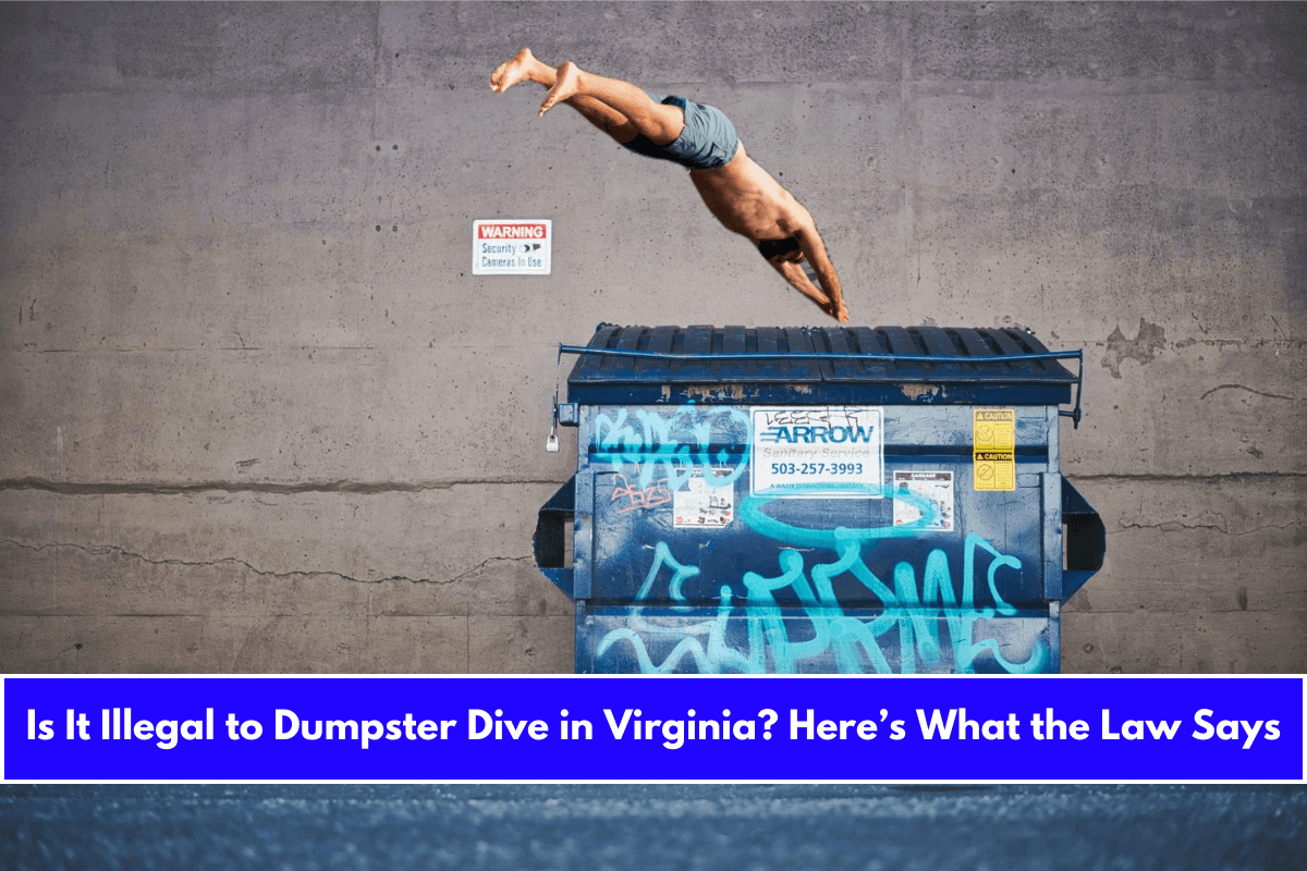 Is It Illegal to Dumpster Dive in Virginia Here’s What the Law Says