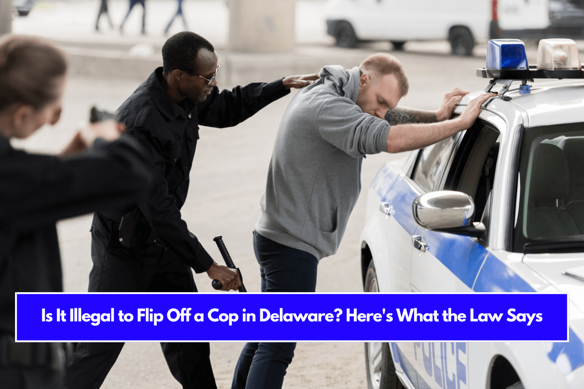 Is It Illegal to Flip Off a Cop in Delaware Here's What the Law Says