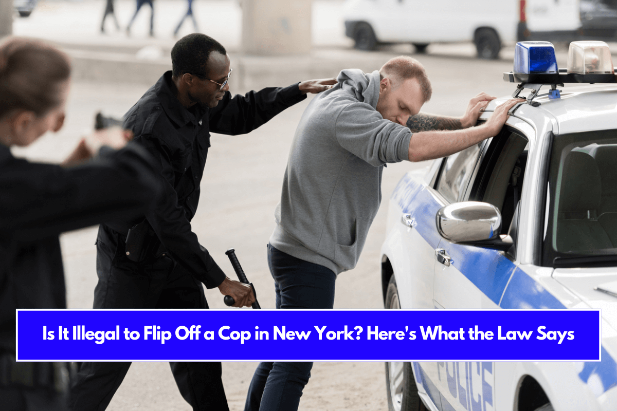 Is It Illegal to Flip Off a Cop in New York Here's What the Law Says