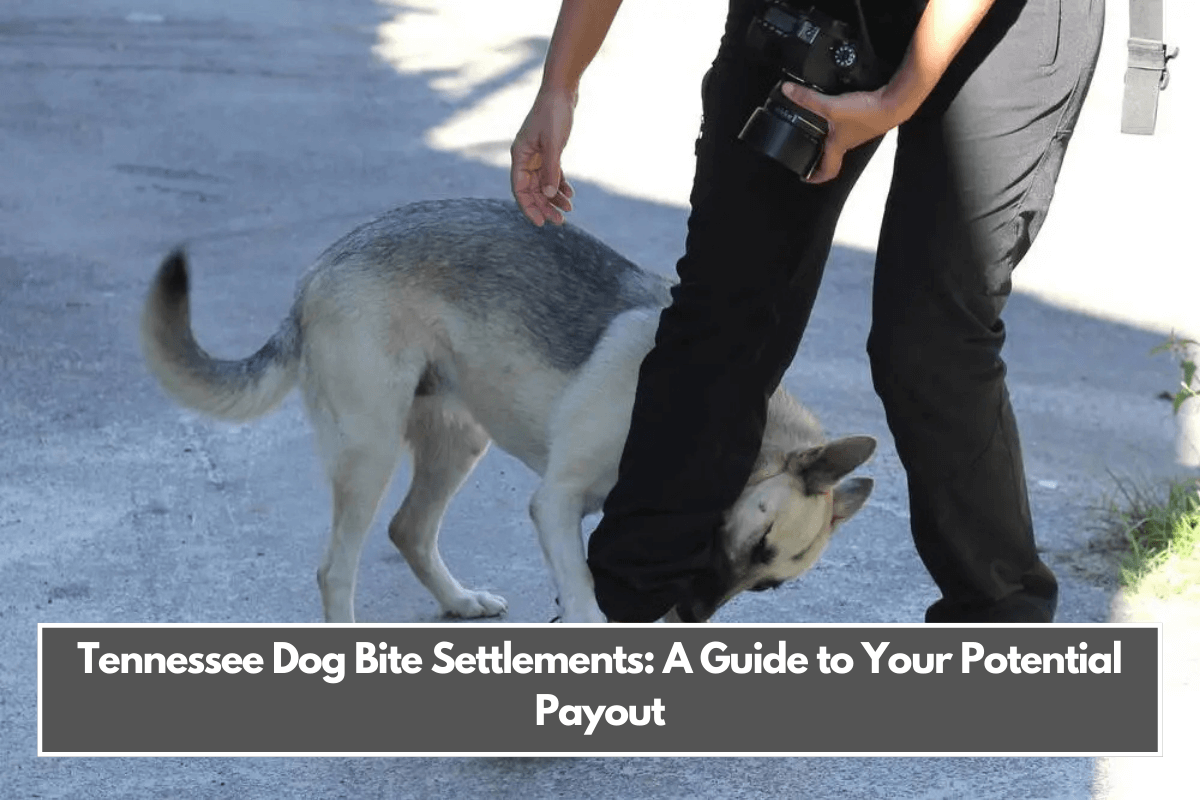 Tennessee Dog Bite Settlements A Guide to Your Potential Payout