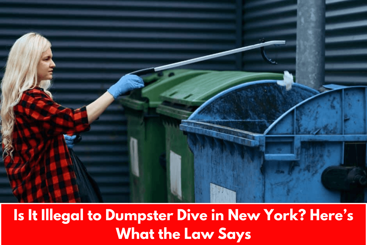 Is It Illegal to Dumpster Dive in New York? Here’s What the Law Says