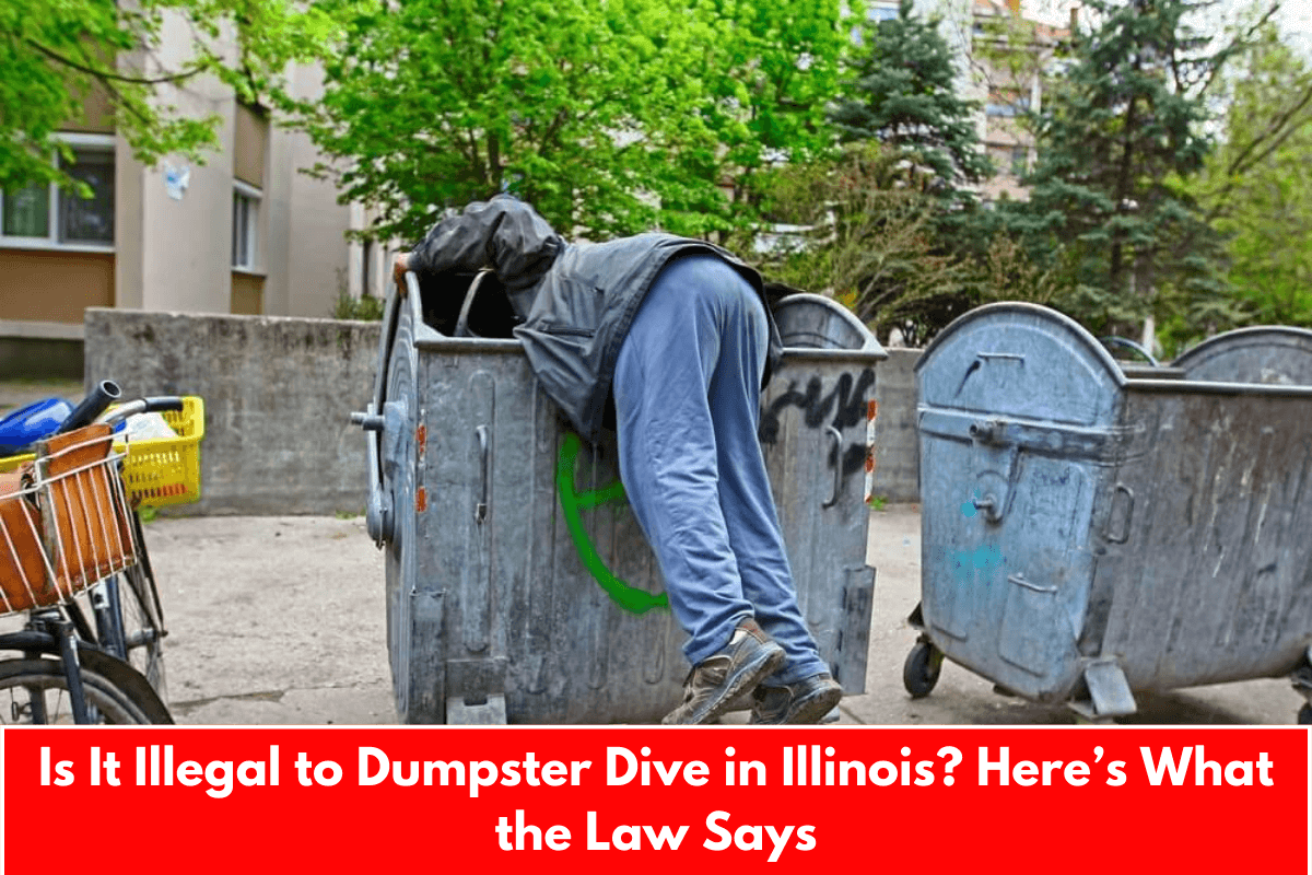 Is It Illegal to Dumpster Dive in Illinois? Here’s What the Law Says