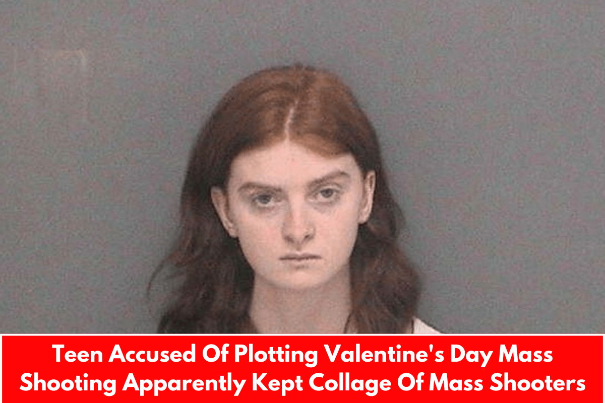 Teen Accused Of Plotting Valentine's Day Mass Shooting Apparently Kept Collage Of Mass Shooters