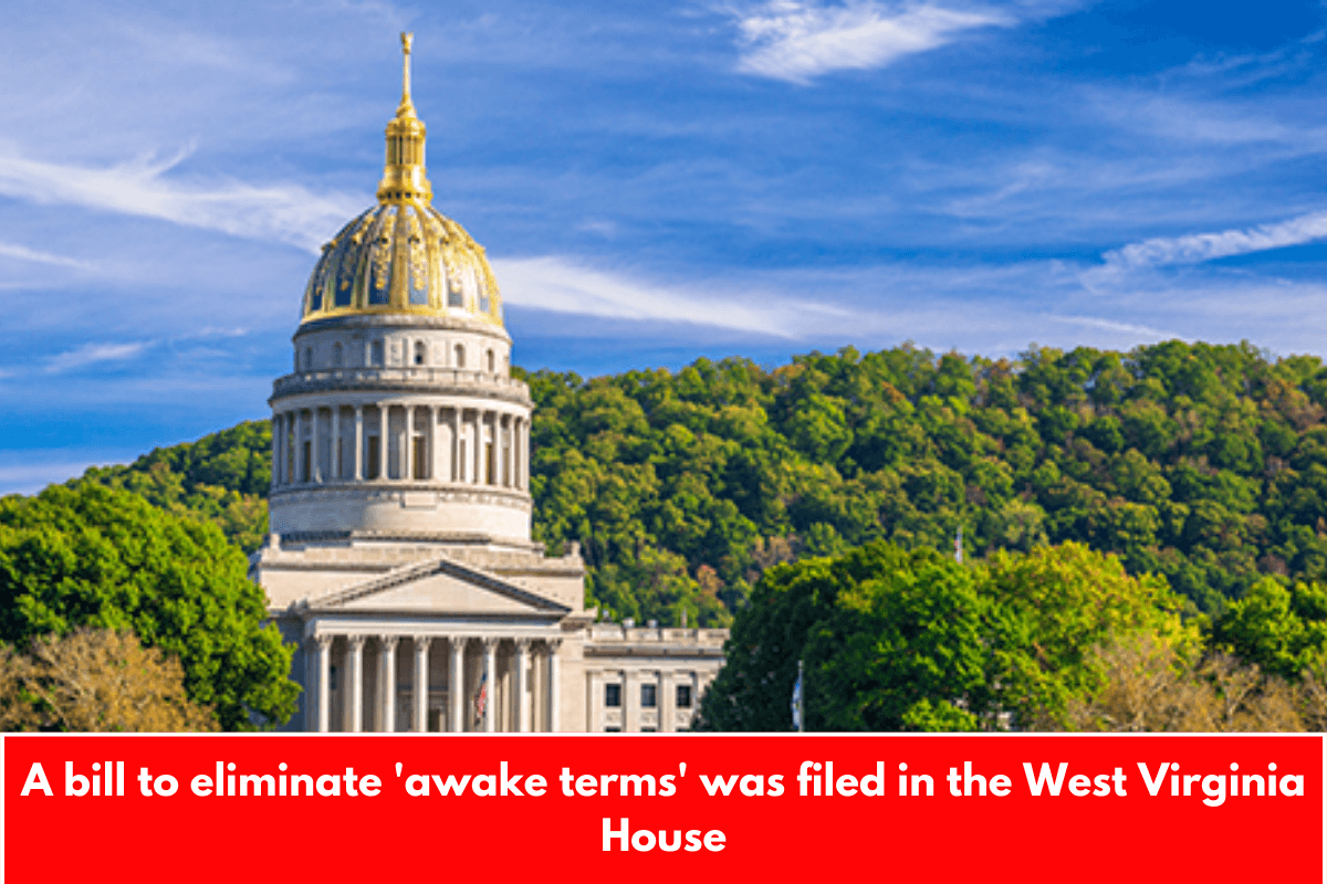 A bill to eliminate 'awake terms' was filed in the West Virginia House