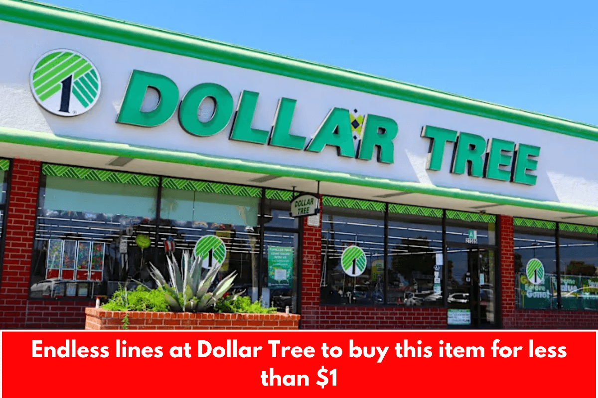 Endless lines at Dollar Tree to buy this item for less than $1