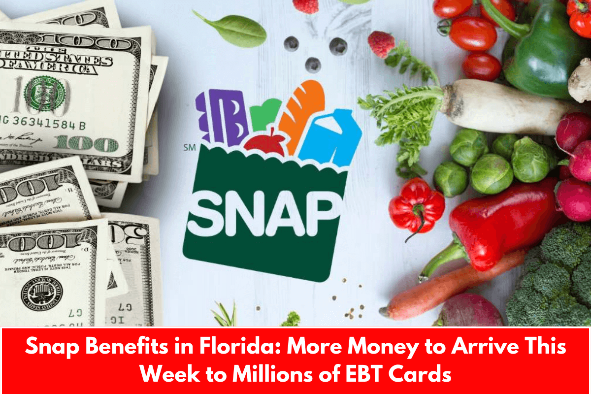 Snap Benefits in Florida: More Money to Arrive This Week to Millions of EBT Cards