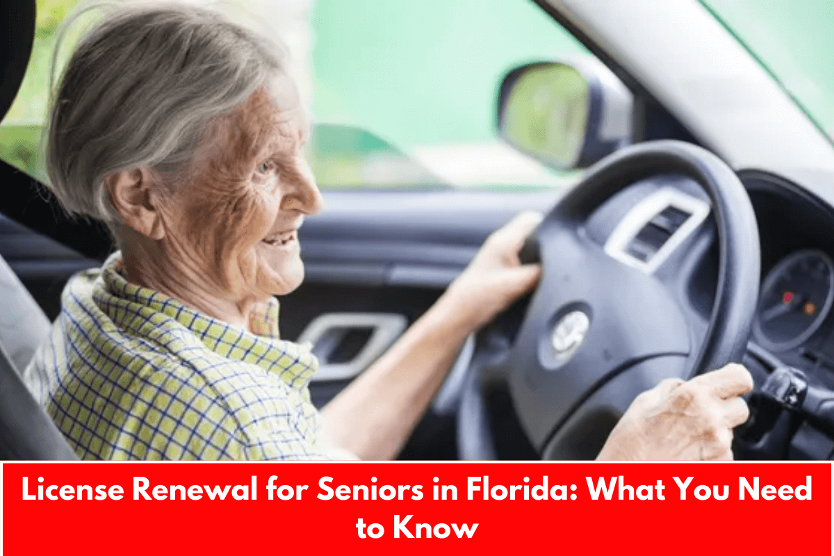 License Renewal for Seniors in Florida: What You Need to Know