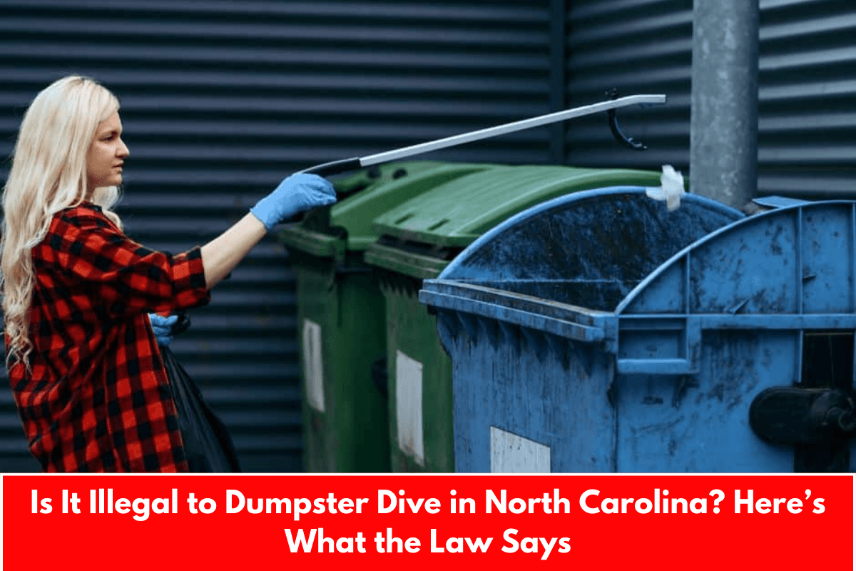 Is It Illegal to Dumpster Dive in North Carolina? Here’s What the Law Says