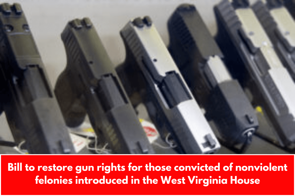 Bill to restore gun rights for those convicted of nonviolent felonies introduced in the West Virginia House