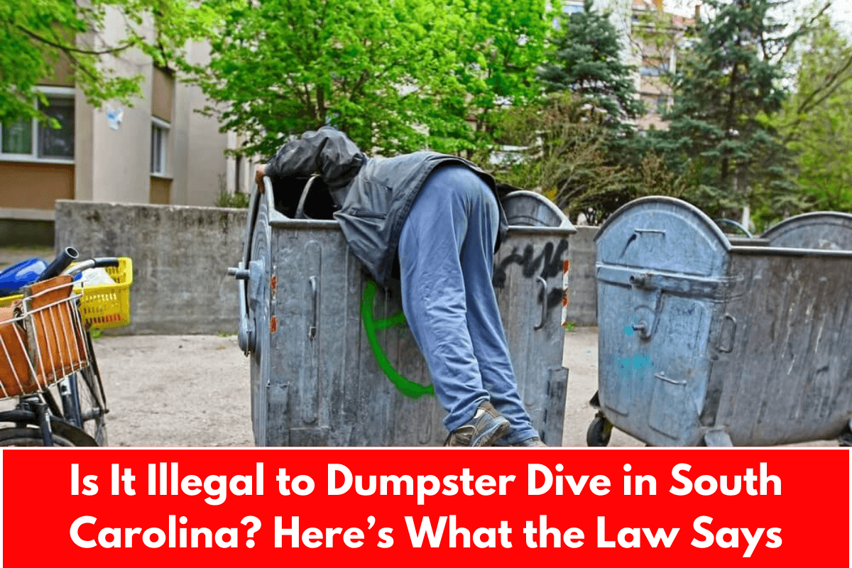 Is It Illegal to Dumpster Dive in South Carolina? Here’s What the Law Says