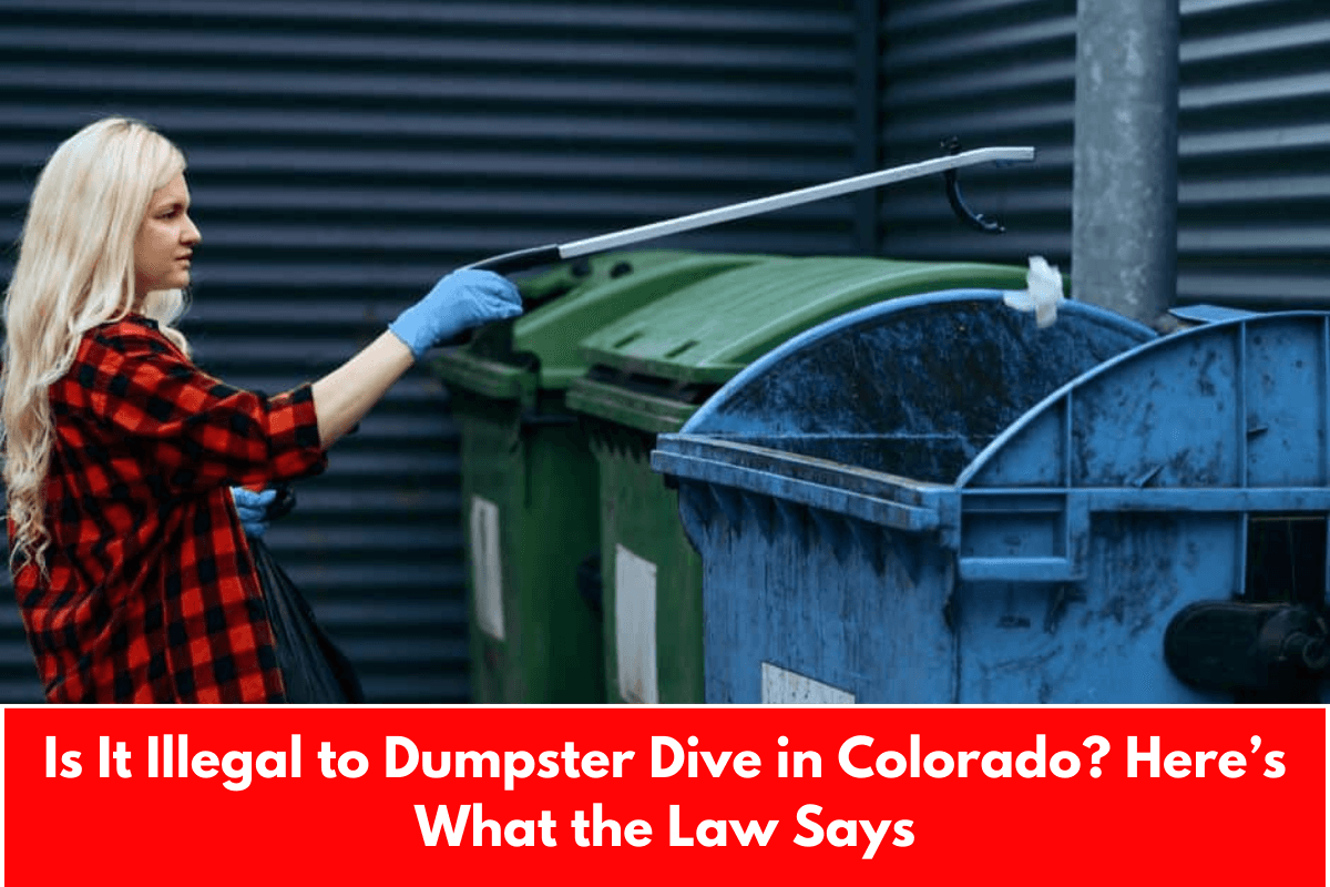 Is It Illegal to Dumpster Dive in Colorado? Here’s What the Law Says