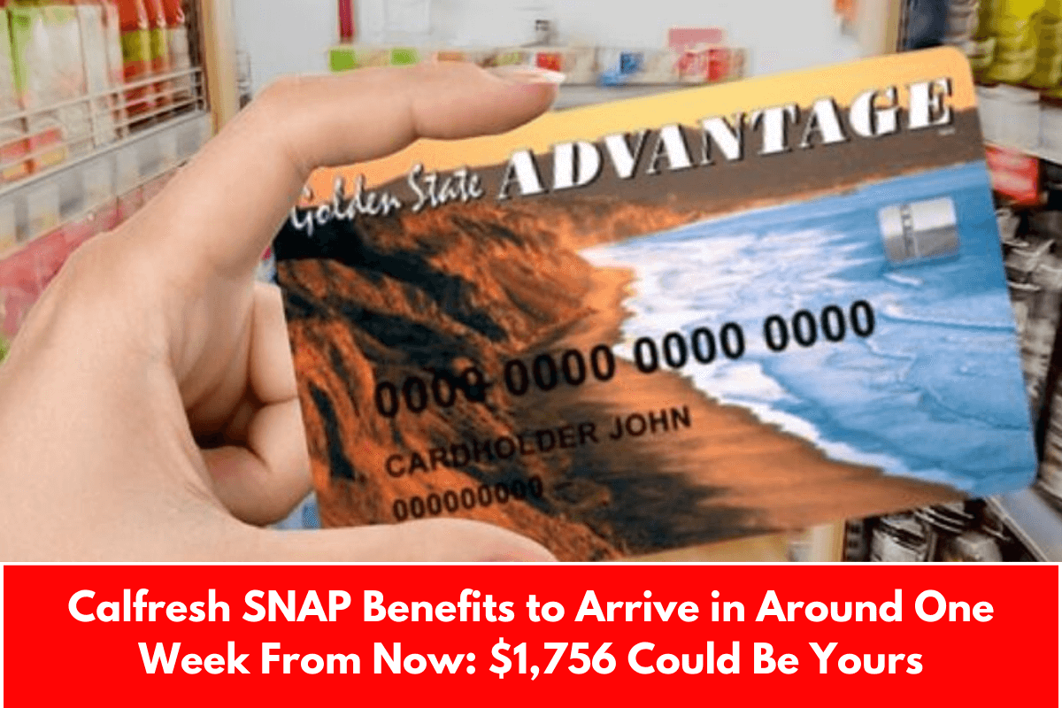 Calfresh SNAP Benefits to Arrive in Around One Week From Now: $1,756 Could Be Yours