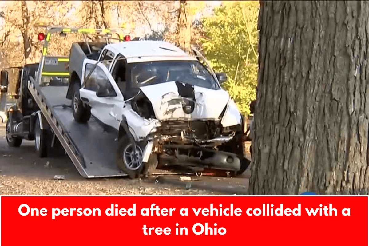 One person died after a vehicle collided with a tree in Ohio