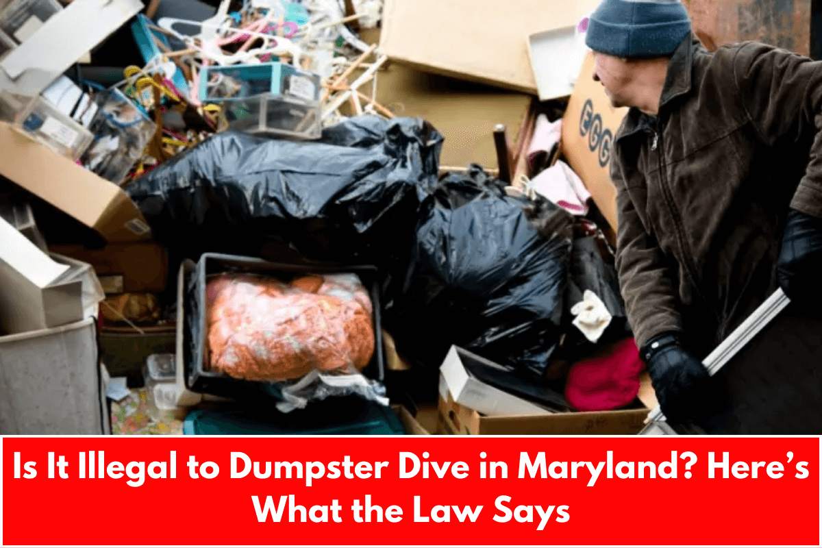 Is It Illegal to Dumpster Dive in Maryland? Here’s What the Law Says