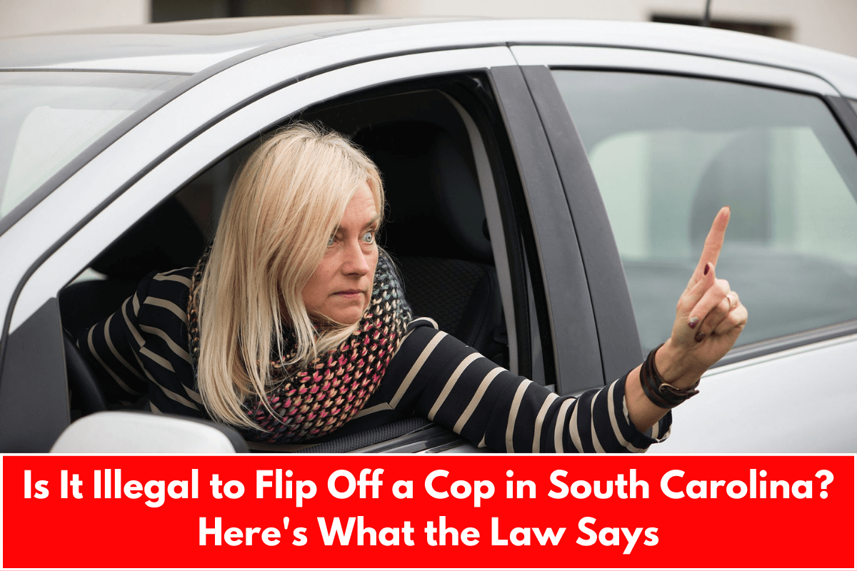 Is It Illegal to Flip Off a Cop in South Carolina? Here's What the Law Says