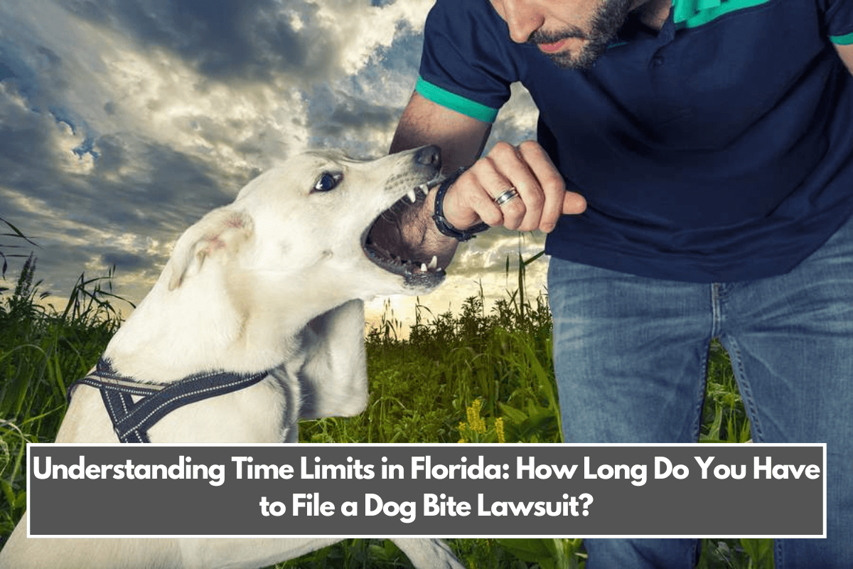 Understanding Time Limits in Florida How Long Do You Have to File a Dog Bite Lawsuit