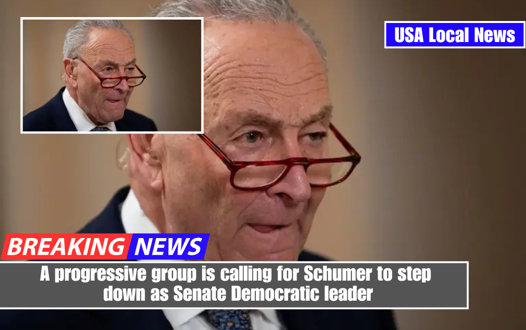 A progressive group is calling for Schumer to step down as Senate Democratic leader