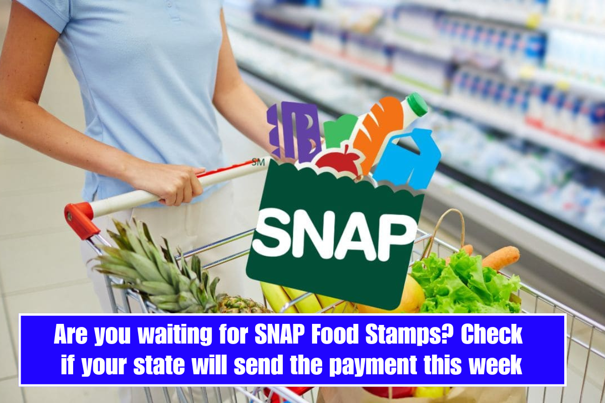 Are you waiting for SNAP Food Stamps? Check if your state will send the payment this week