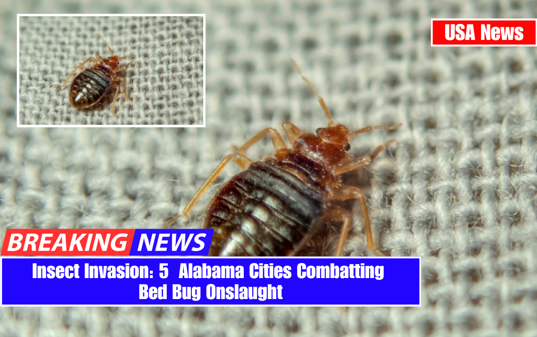 Insect Invasion: 5 Alabama Cities Combatting Bed Bug Onslaught