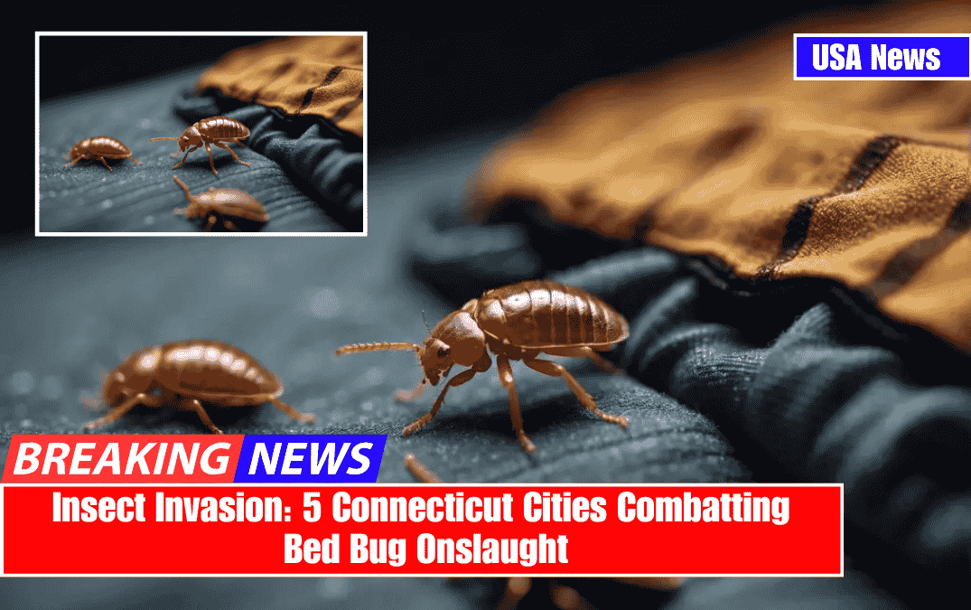 Insect Invasion: 5 Connecticut Cities Combatting Bed Bug Onslaught