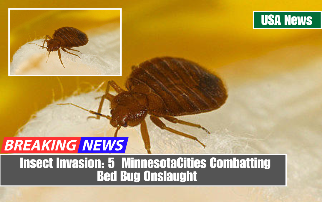 Insect Invasion: 5 Minnesota Cities Combatting Bed Bug Onslaught