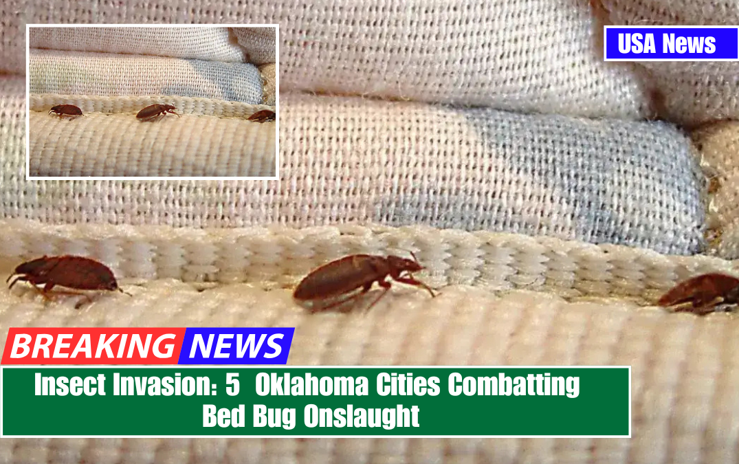 Insect Invasion: 5 Oklahoma Cities Combatting Bed Bug Onslaught