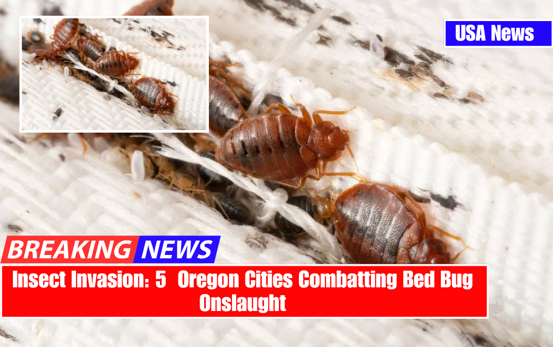 Insect Invasion: 5 Oregon Cities Combatting Bed Bug Onslaught