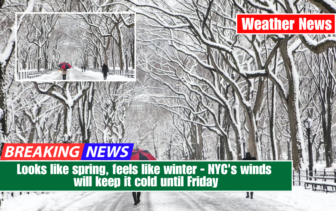 Looks like spring, feels like winter - NYC's winds will keep it cold until Friday