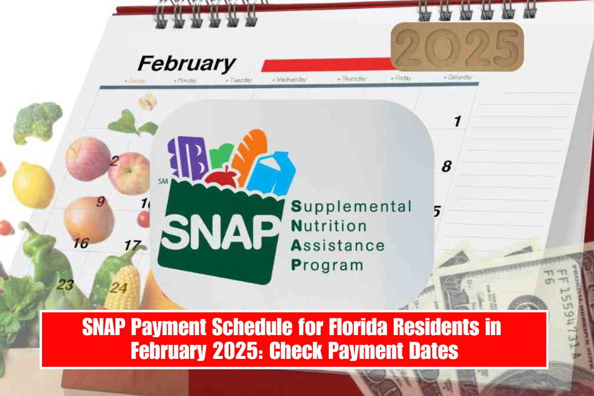 SNAP Payment Schedule for Florida Residents in February 2025: Check Payment Dates