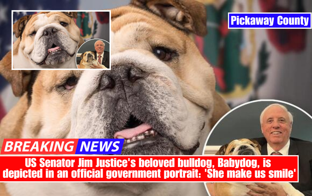 US Senator Jim Justice's beloved bulldog, Babydog, is depicted in an official government portrait: 'She make us smile.'