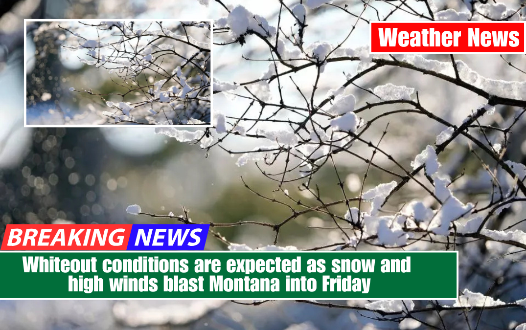 Whiteout conditions are expected as snow and high winds blast Montana into Friday